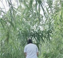 【调教视频】【小野猫】野外骑马犬化训练