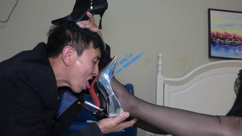 144001iwvewf7yvoeeppqz.jpg