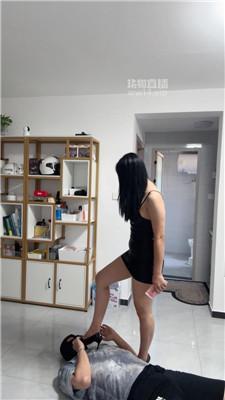 224045xssqi1tactkb12v5.jpg