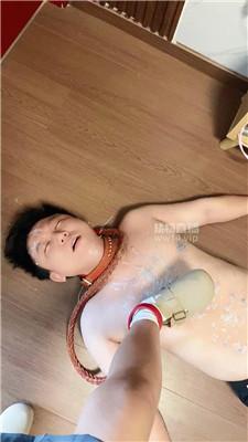 100534lr3z1sunns2trzna.jpg